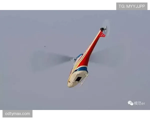 F组最新出线模型预测